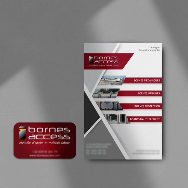 Support-de-communication-Bornes-Access-graphiste-strasbourg